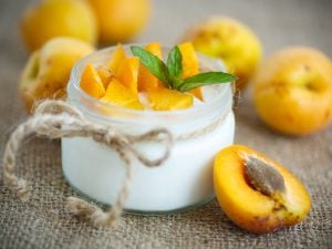 Blanc manger aux abricots