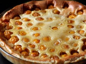Clafoutis aux mirabelles