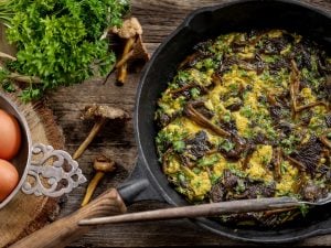 Omelette aux girolles