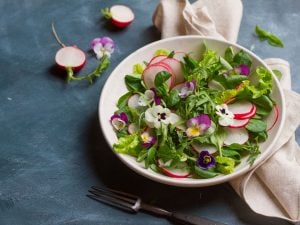 Salade de radis