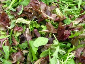 Mesclun