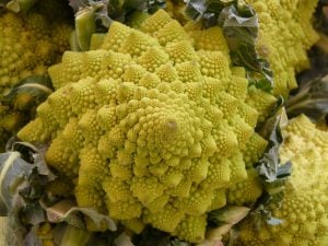 Chou Romanesco
