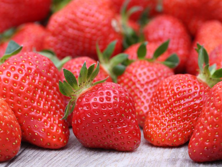 Tout Savoir Sur La Fraise Potager City