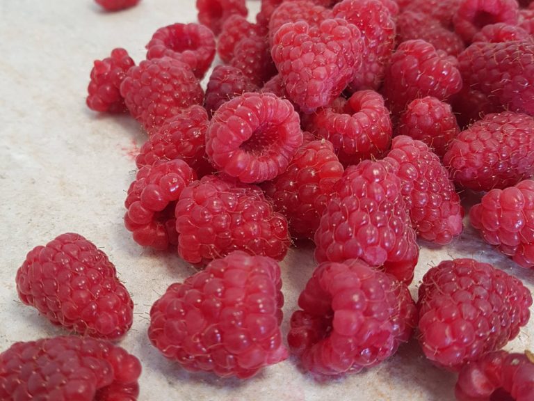 Tout Savoir Sur La Framboise Potager City