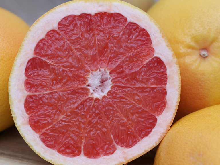 Tout savoir sur le pomelo Corse Potager City