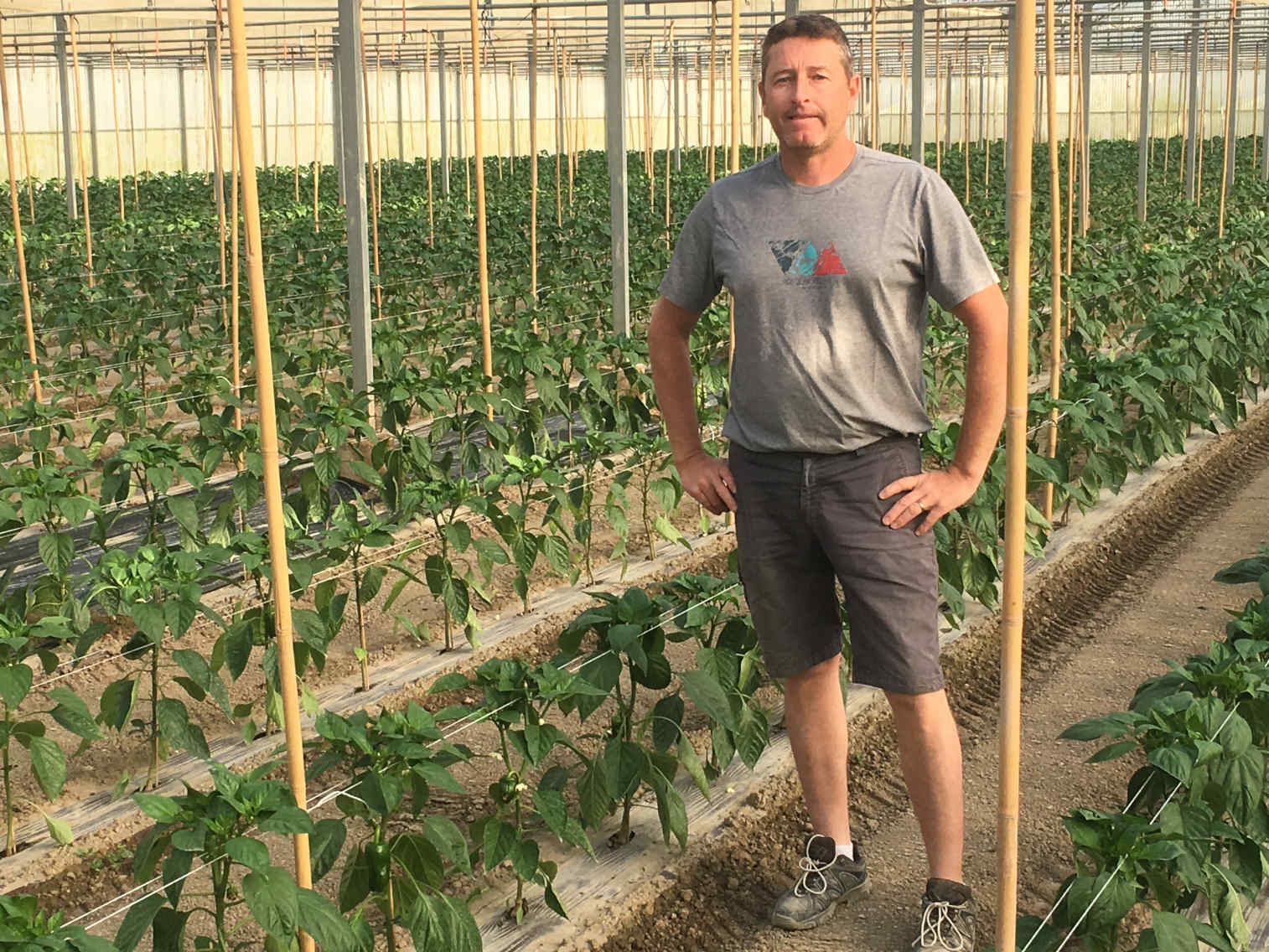 Les légumes du soleil de Gilles
