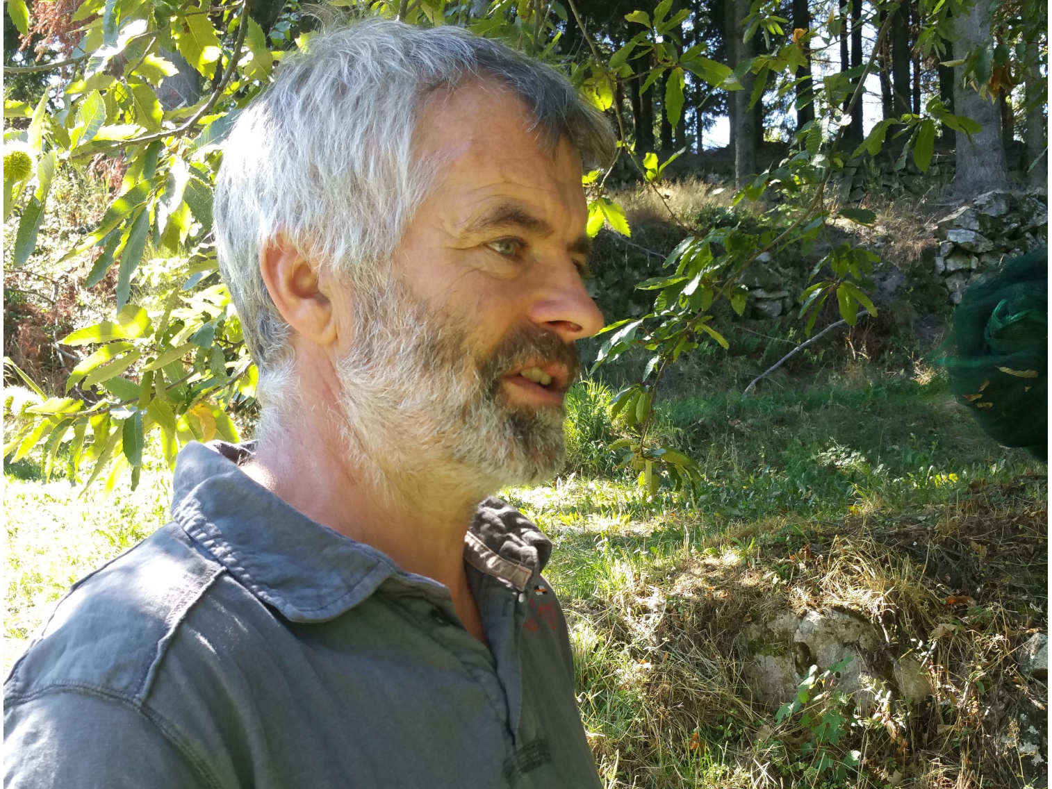 Michel et la crème (de la crème) de châtaignes