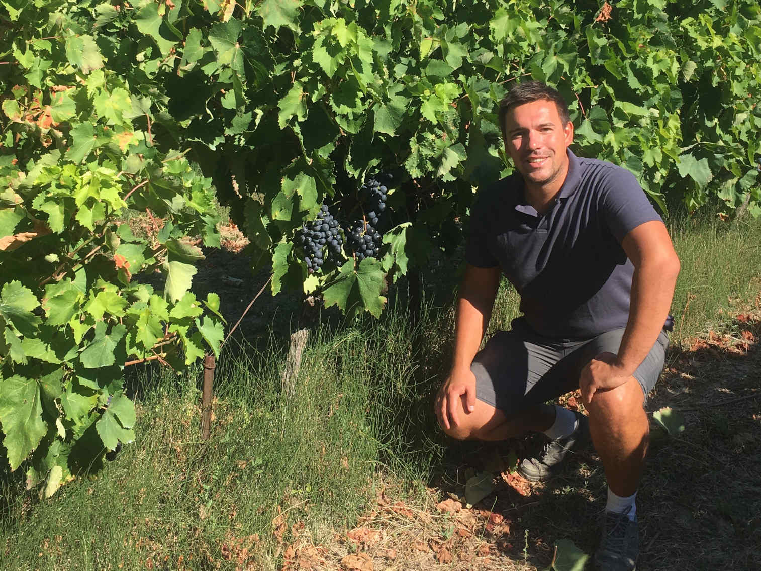 Les fruits du Triangle d’Or de Julien
