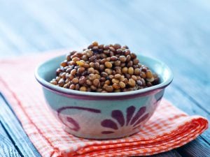 Salade de lentilles aux oignons nouveaux