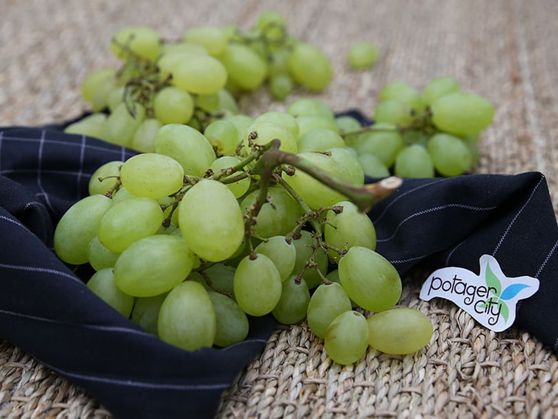 Raisin Centennial