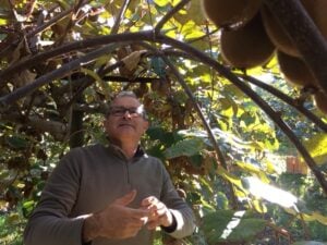 Philippe, l’expert des kiwis c’est lui !