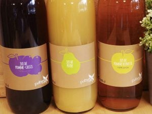 Jus Potager City