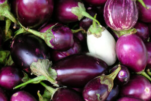 Aubergine