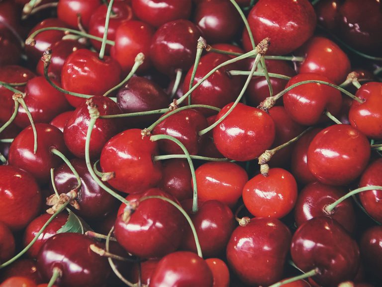 La cerise : un fruit de saison à déguster sans tarder