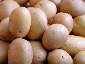 Pomme de terre Trésor