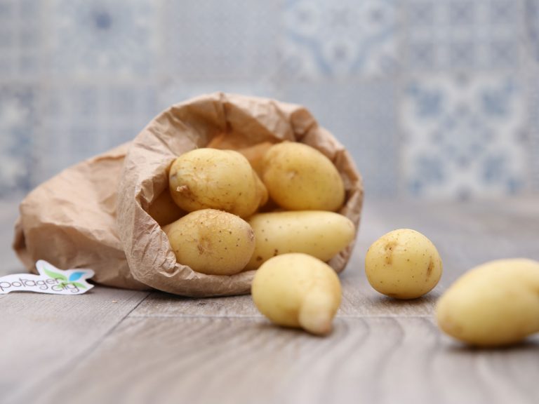 Pommes de terre nouvelles (chair ferme)