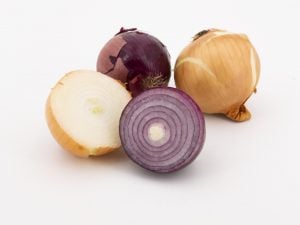 Oignon