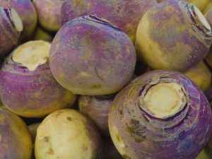 Rutabaga