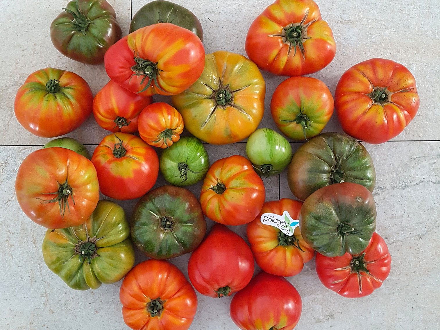 Tomate : bien choisir et consommer ce fruit d'été