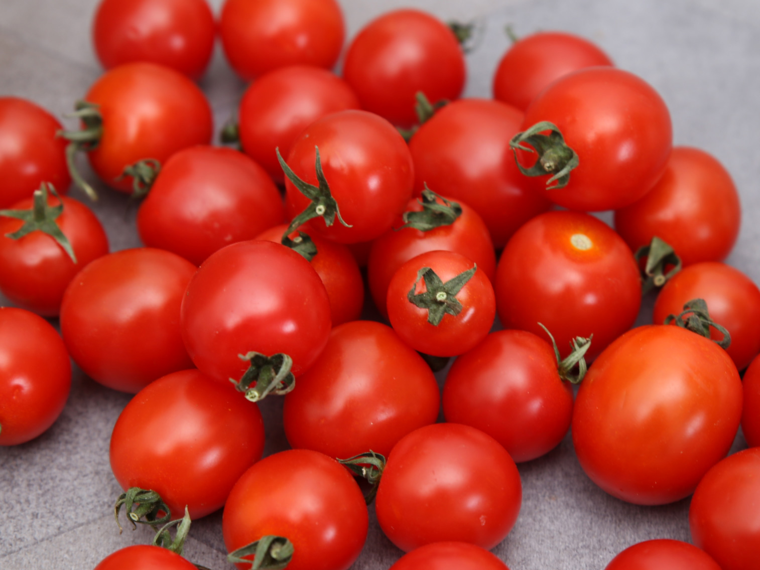 Tout savoir sur la tomate cerise