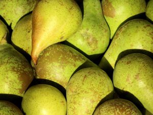 Poire Ferdinand Gaillard