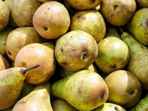 Poire Général Leclerc