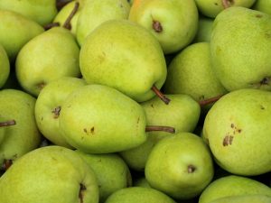 Poire Président Héron