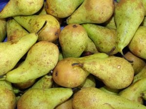 Poire Tardive sucrée de Montluçon