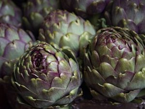 Artichaut violet de Provence
