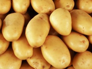 Pomme de terre Mona Lisa