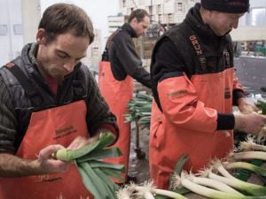 Zoom sur la ferme de Pierrick