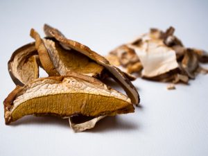Nos champignons du printemps