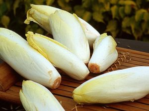 Pourquoi on mange des endives en hiver ?