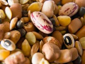 Légumes secs, plus viandes que légumes !