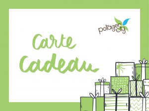 Carte cadeau : comment ça marche ?