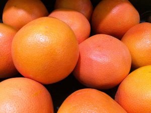 Pamplemousse