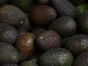 Avocat