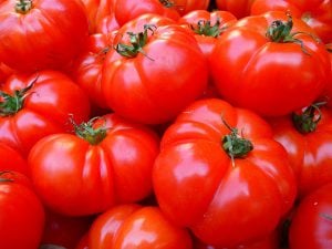 Tomate marmande 