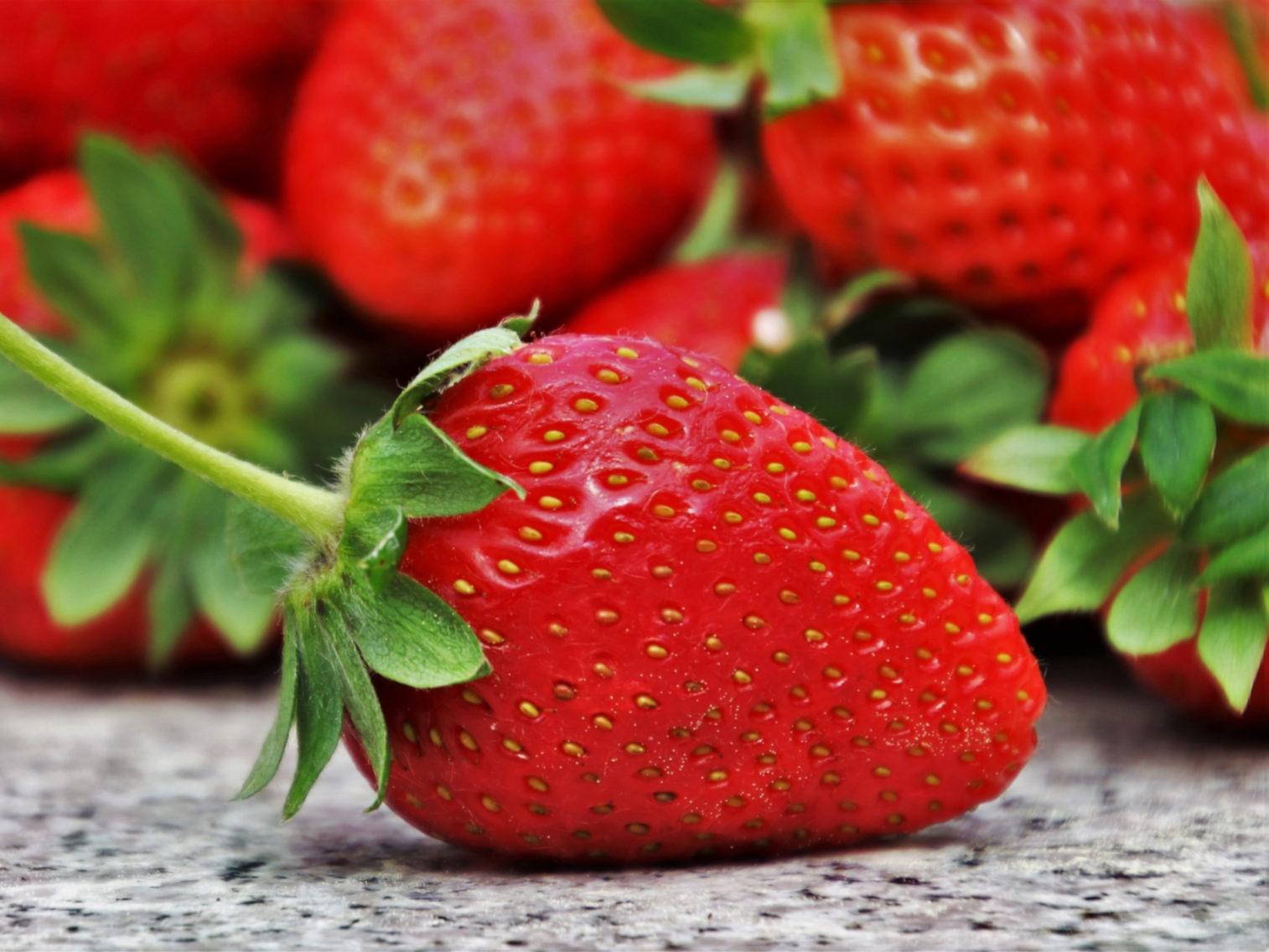 Tout savoir sur le choix et la préparation des fraises 