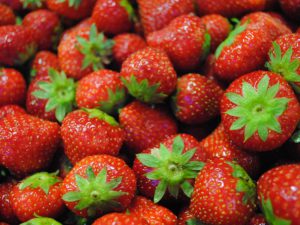 Fraise Mara des Bois