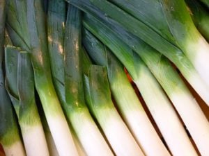 Poireau bleu de Solaise