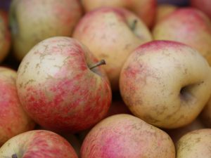 Pomme Antarès