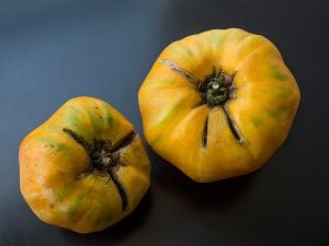 Tomate ananas