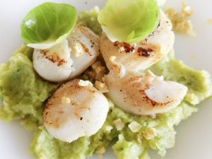 Noix de Saint-Jacques et purée de petits pois au gingembre