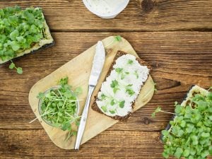 Tartines au chèvre et cresson