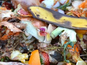 Stop au gaspillage alimentaire : mettre les fruits et légumes en mode zéro-déchet !