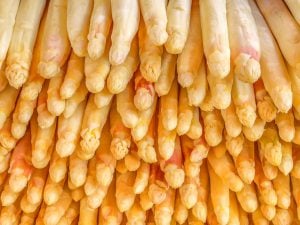 Asperge blanche