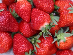 Fraise Cléry