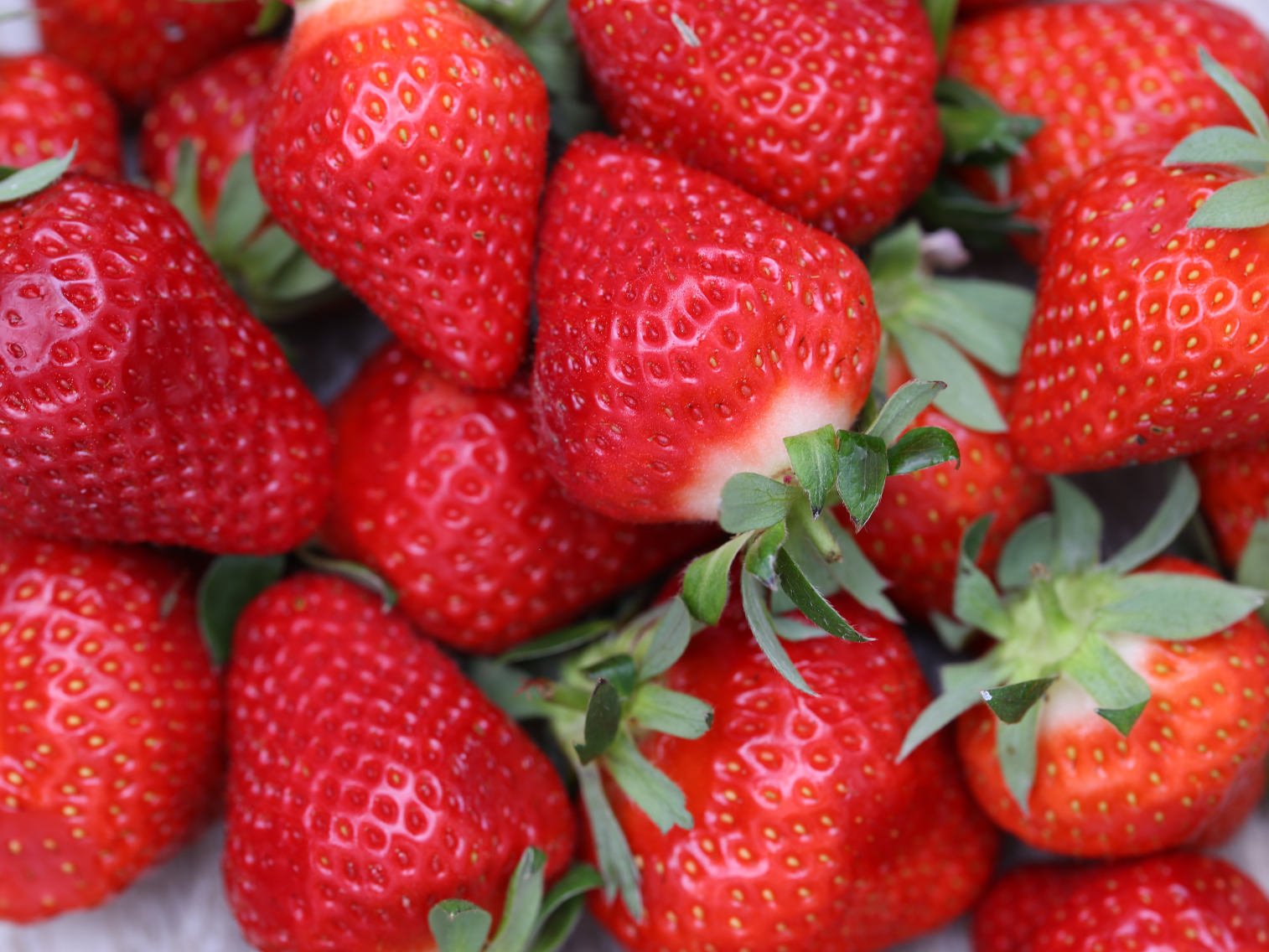 Fraise Cléry