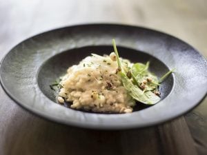 Risotto de céleri-branche